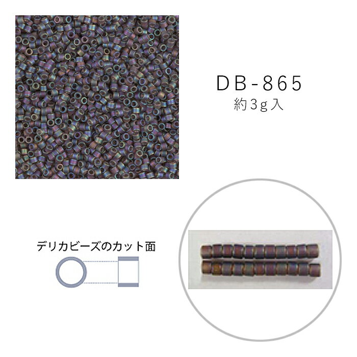 MIYUKI デリカビーズ DB-865 ツヤ消 ダ