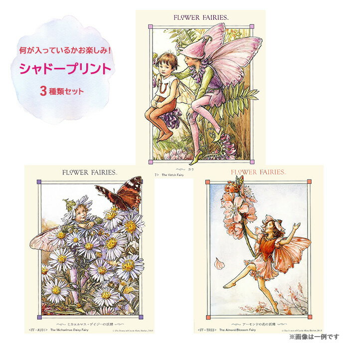 シャドープリント 何が入っているかお楽しみ! ランダム3種類セット FLOWER FAIRIES メール便/宅配便可
