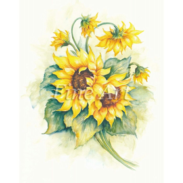 シャドープリント ひまわり メール便/宅配便可 fa18-063