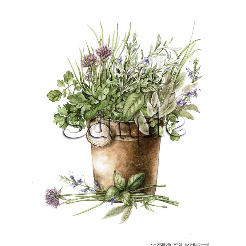 シャドープリント 水彩シリーズ 「ハーブの贈り物」 MY-05 メール便/宅配便可