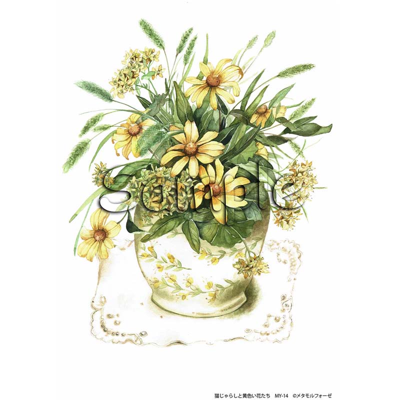 シャドープリント 「猫じゃらしと黄色い花たち」 MY-14 メール便/宅配便可