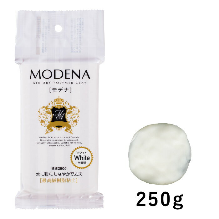 PADICO Sy fi zCg 250g