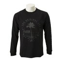 【VANSウェア】Vans PalmTree L/S Tee ヴァンズ ロングスリーブTシャツ CD19SS-MT12 BLACK