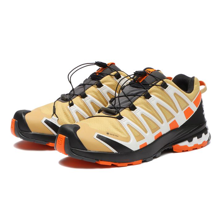 ポイント5倍【SALOMON】 サロモン XA PRO 3D v8 GTX エックスエープロスリーディーV8ゴアテックス L41629300 Fall Leaf/Vibr