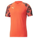 【PUMA】 プーマ M INDIVIDUALFINAL WC JERSEY ショートスリーブ 658249