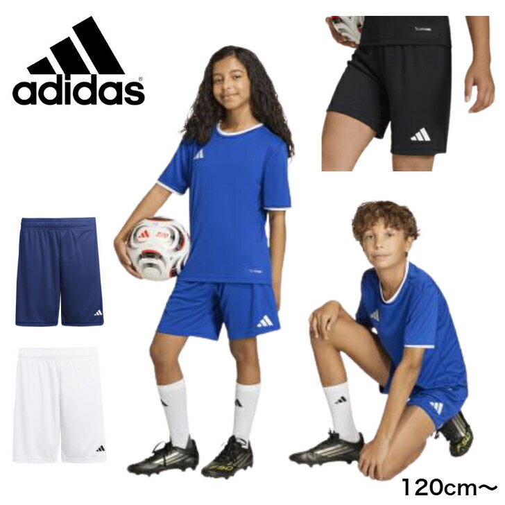 【売れ筋】 adidas アディダス サッカー フットサル ジュニア キッズ ENTRADA 26 ショーツ ジュニア用 ..
