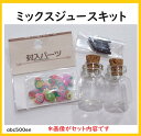 ミックスジュースキット /ジュース/ミニチュア/フルーツ/キット/初心者にオススメ!