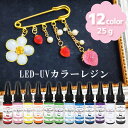 【当店オススメ！】LED-UVカラーレジン25g 1本 /レジン液/クリア/LED/abcレジン/カラーレジン