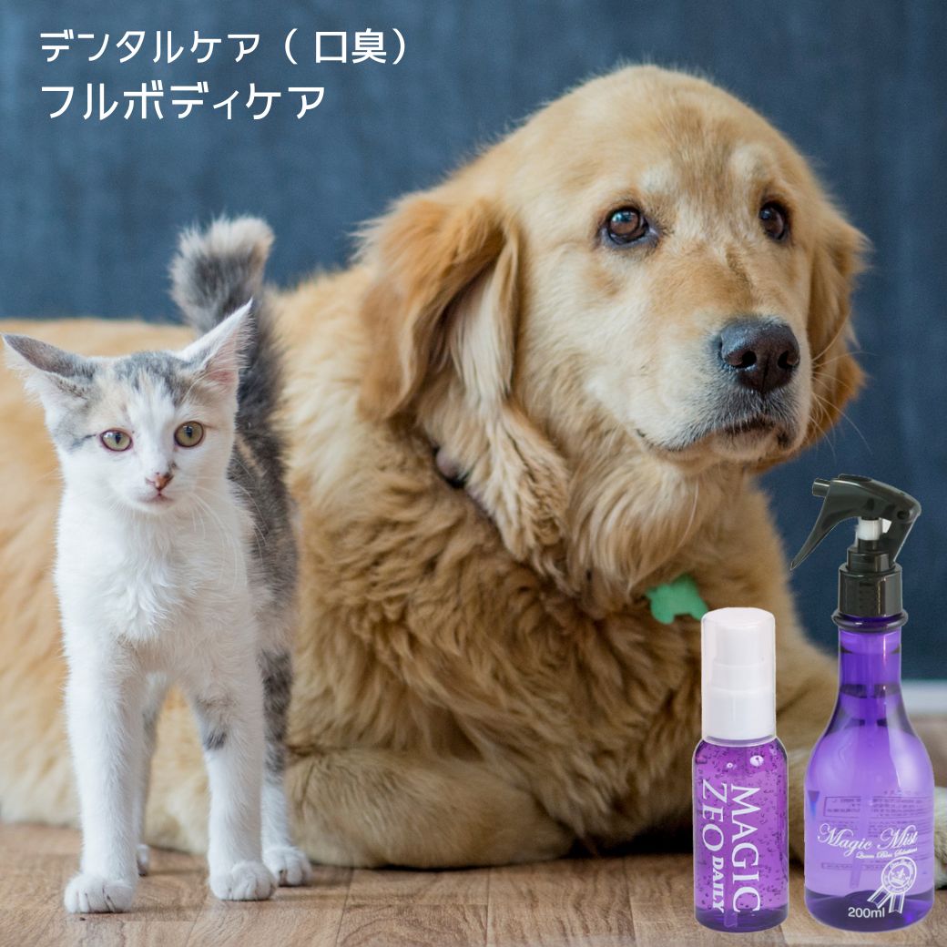 犬 歯石取り 歯磨き粉 マジックゼオ デイリー フルボディ使えるマジックミストのセット ジェル状 デ ...