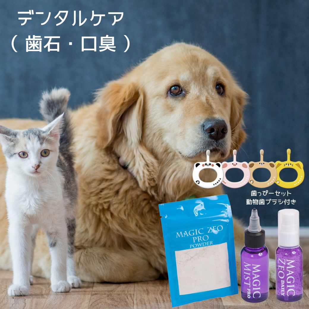 ＼スーパーSALE／ ペット用品 犬 歯石取り 歯磨き粉 マジックゼオ プロ デイリー 動物歯ブラシ おやつプレゼント中 ジェル状 デンタルケア 歯石 黄ばみ 口臭予防 magic zeo