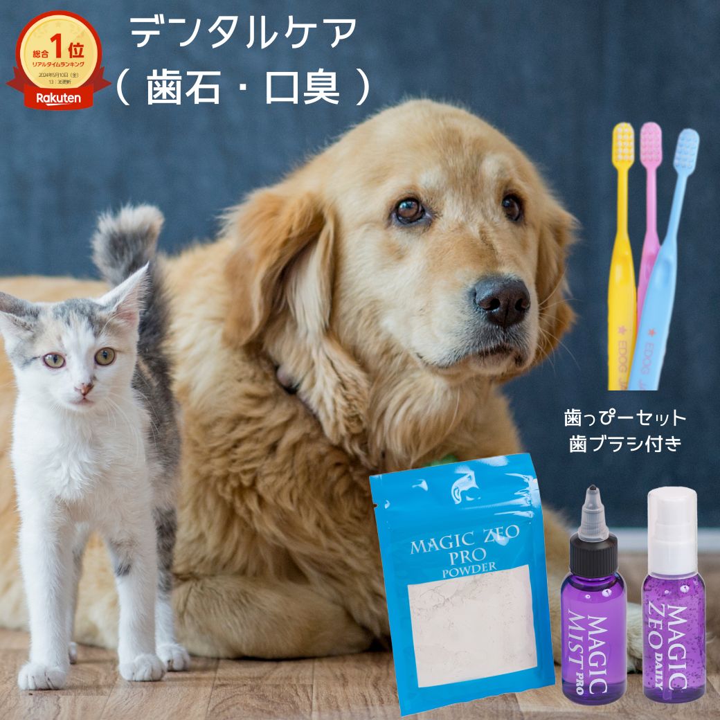 ペット用品 犬 歯石取り 歯磨き粉 マジックゼオ プロ デイリー EDOGJAPAN 歯ブラシ 3本 ...