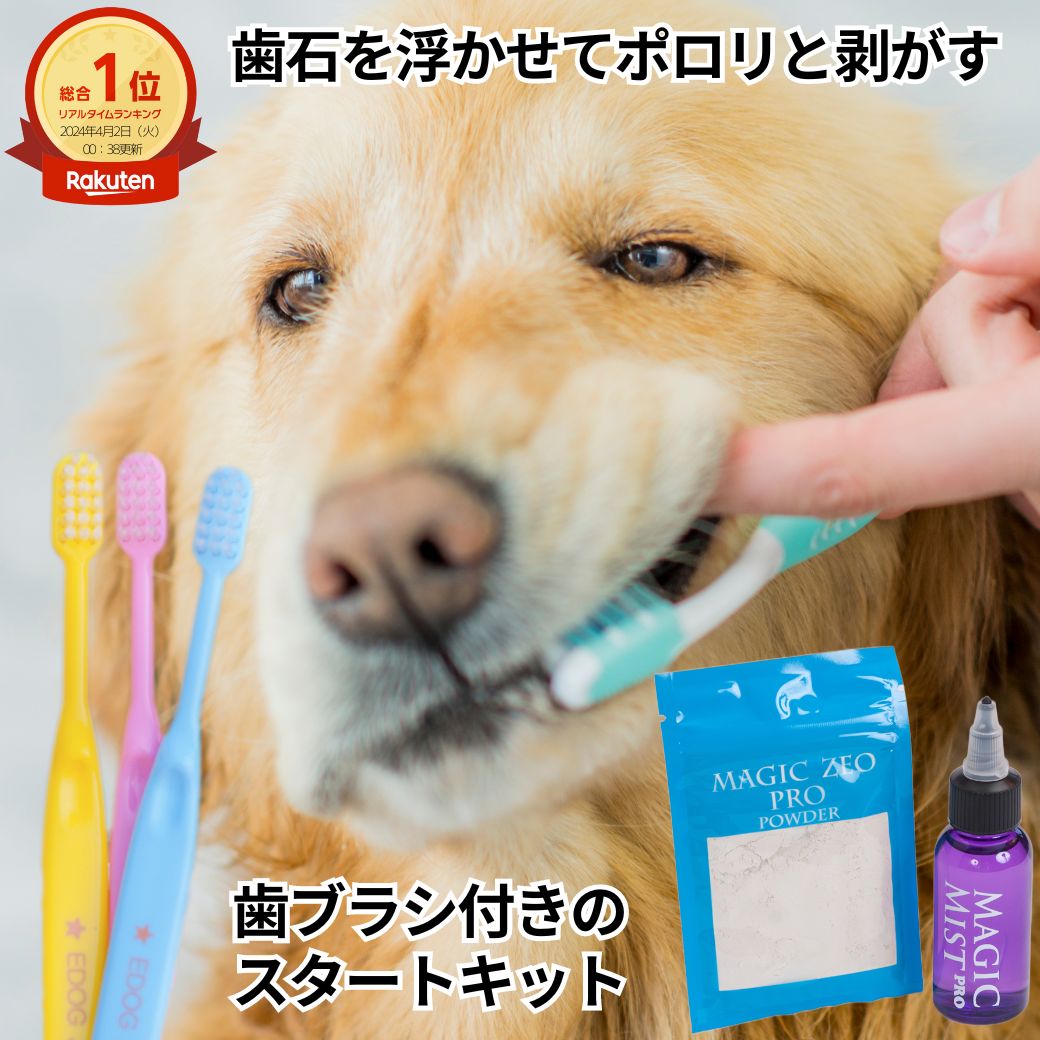 ペット用品 犬 マジックゼオ プロ 小型犬で1ケ月分 おやつプレゼント中 歯石取り 歯磨き粉 EDOGJAPAN 歯ブラシ3本セット 歯石 犬歯垢除去 犬 ゼオライト 猫 歯みがき はみがき マジックミ スト ハミガキ おすすめ magiczeo 歯ブラシケア