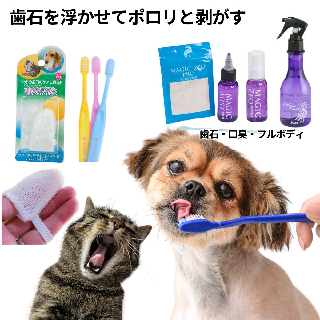 ＼お買い物マラソン／ ペット用品 犬 歯石取り 歯磨き粉 マジックゼオ プロ デイリー マジックミスト オクチブラシ 歯ブラシ3本 スターターキット ブラッシングスプレー magic zeo おやつプレゼント中 愛犬