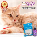 \お買い物マラソン/ ねこ 猫 しっかり歯みがき マジックゼオプロ 犬 歯磨き 歯石 犬 ゼオライト magiczeo ペット用品 猫 歯ブラシ ネコ はみがき...