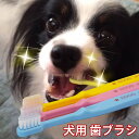 ＼お買い物マラソン／ ペット用品 犬 EDOGJAPAN 歯ブラシ3本 デンタルケア用品 口臭 予防 歯磨き 犬用品 猫用品 ペットグッズ 磨きやすいヘッド 9×18mm