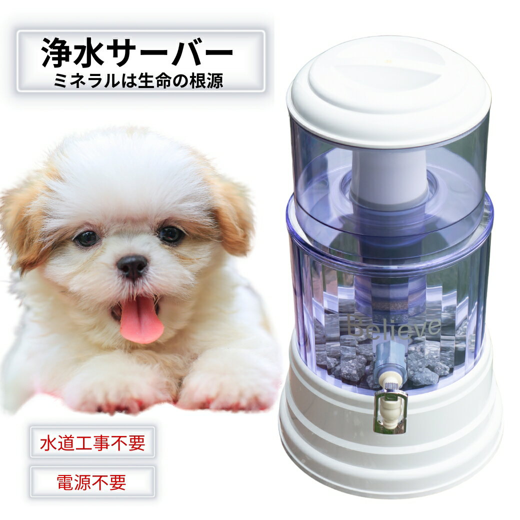 ABCDog ޥåŹ㤨֥С ߥͥ     ҳ 奵С Ÿ ƻ ڥå ɺҥå ﲹפβǤʤ6,900ߤˤʤޤ