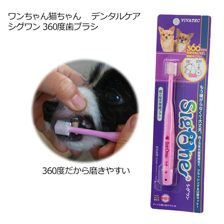 犬用品ABCDog マジックゼオ販売店の＼ご愛顧感謝デー／ 犬 デンタルケア シグワン 360度歯ブラシ 超小型犬用 ピンク 小型犬〜イエロー 歯ブラシ 歯磨き はみがき ハミガキ 歯垢 歯の汚れ 除去 口臭 ケア｜アングル2
