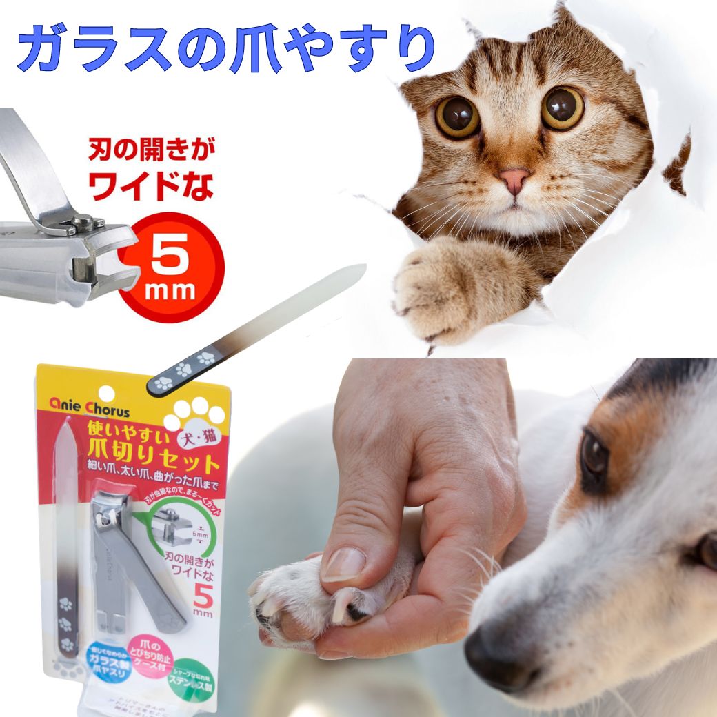 ペット用 使いやすい爪切りセット お手入れ用品 やすり 犬用 猫用 爪切り 爪ヤスリ ガラス 両面ヤスリ