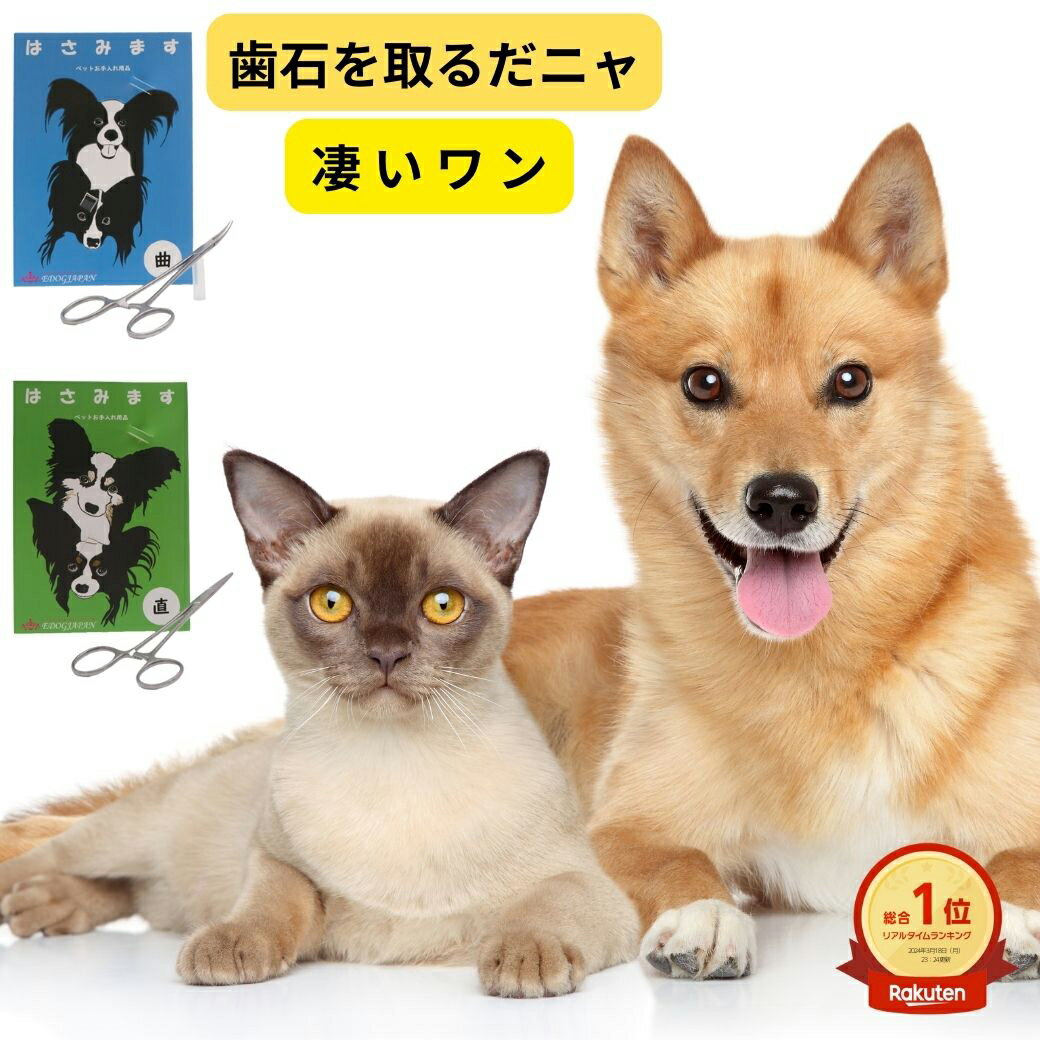 ＼お買い物マラソン／ ハーキレーリムーバー2 犬 歯石取り 歯石除去 カンシ 先端の丸いカンシ ペット用品 器具 スケーラー おやつプレゼント中 【ネコポス発送】