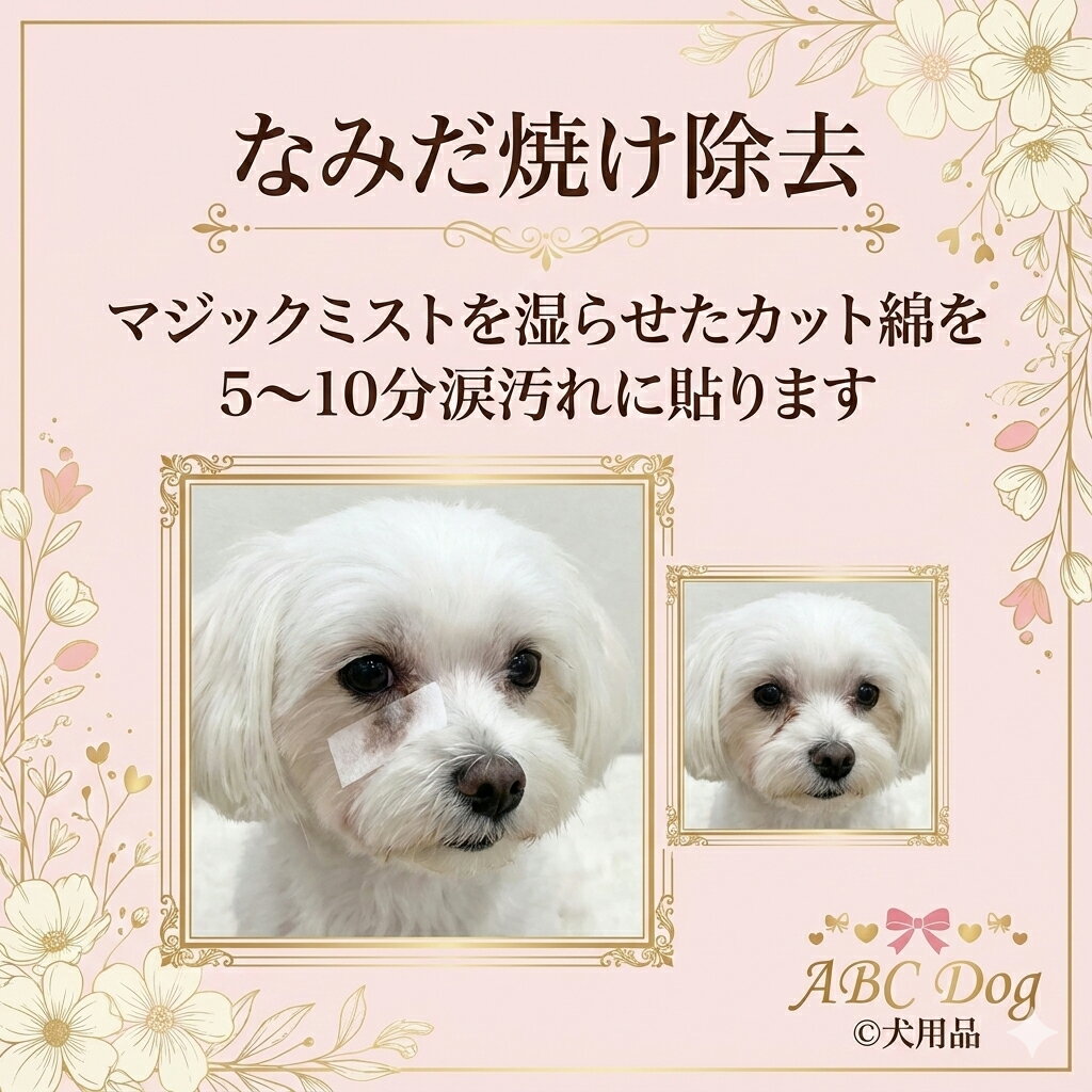 ペット用品 マジックミスト Magic Mist 200ml 1本ブラッシングスプレー グルーミング スプレー フルボディ使える 万能ミスト トリマー 犬用スプレー 猫用スプレー ペットケア 毛並みケア 消臭スプレー 除菌スプレー ケア 口臭予防 涙焼け 耳掃除 毛並み 消臭 除菌 - Image 3