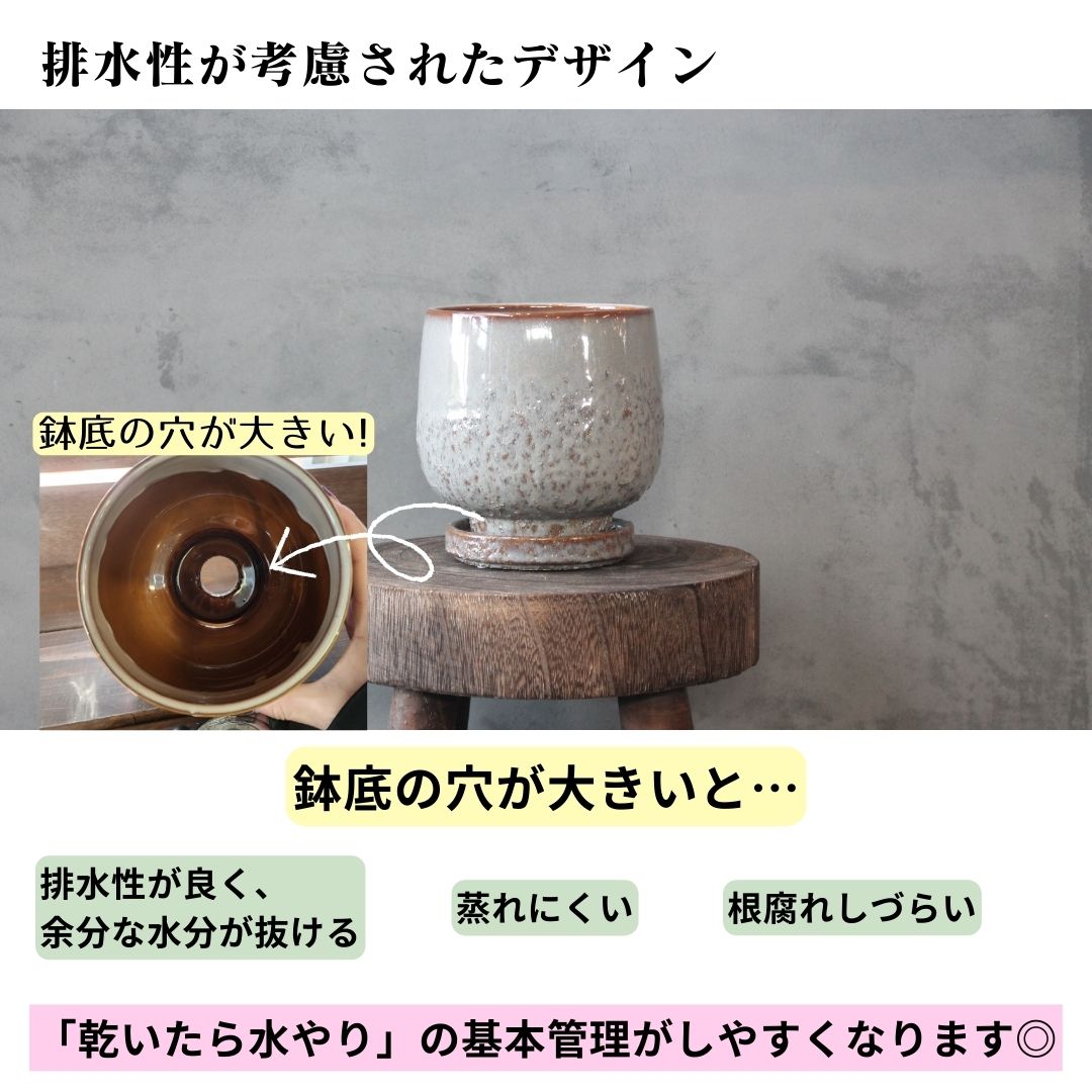 【 5号 受け皿付き 穴あき鉢 】 コーム 鉢が選べる 受皿付き おしゃれ プレゼント ...