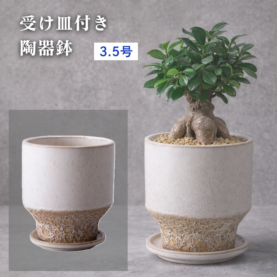 楽天市場】陶器鉢 穴あきの通販