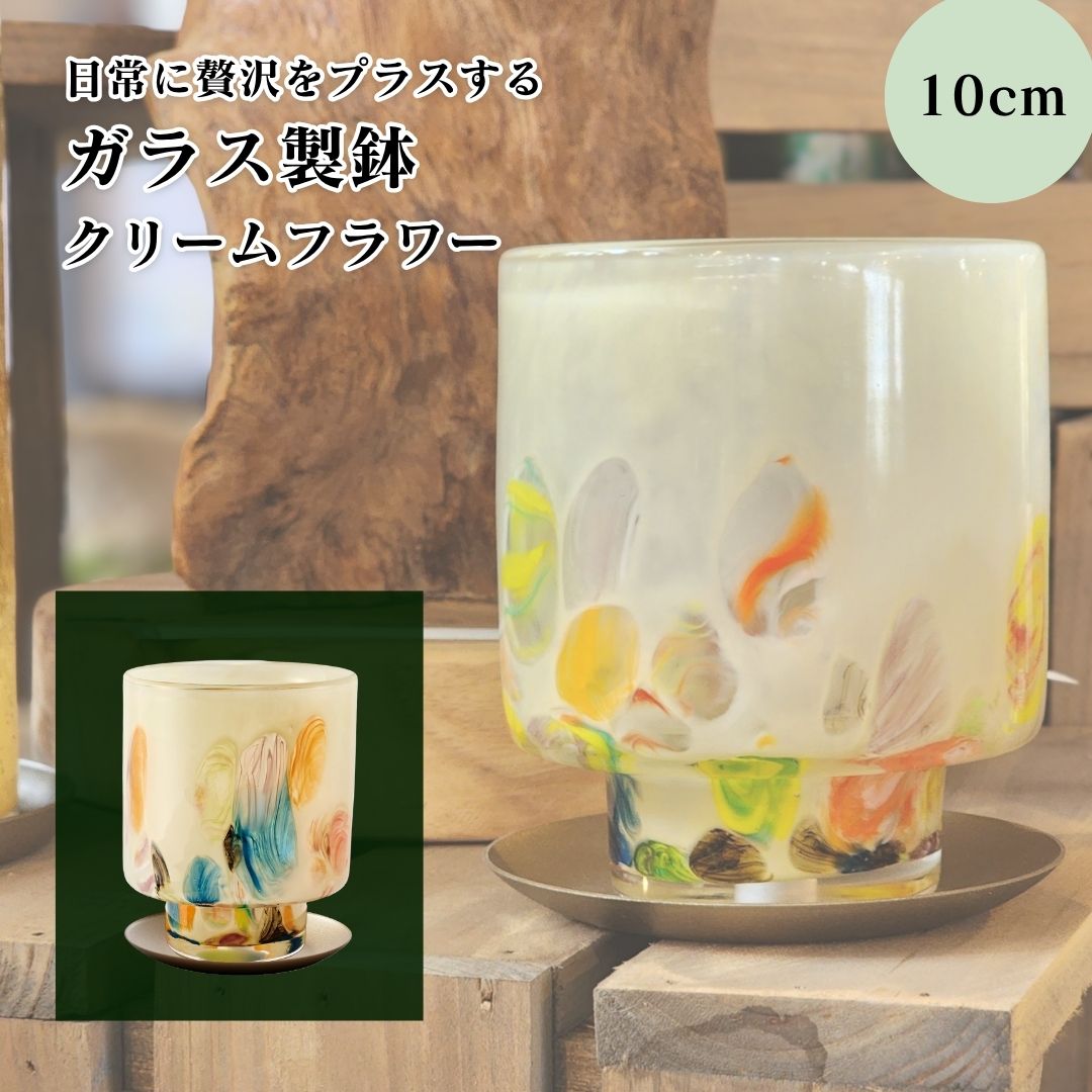 楽天市場】ガラス（サイズ（植木鉢）～ 3号）（植木鉢｜植木鉢