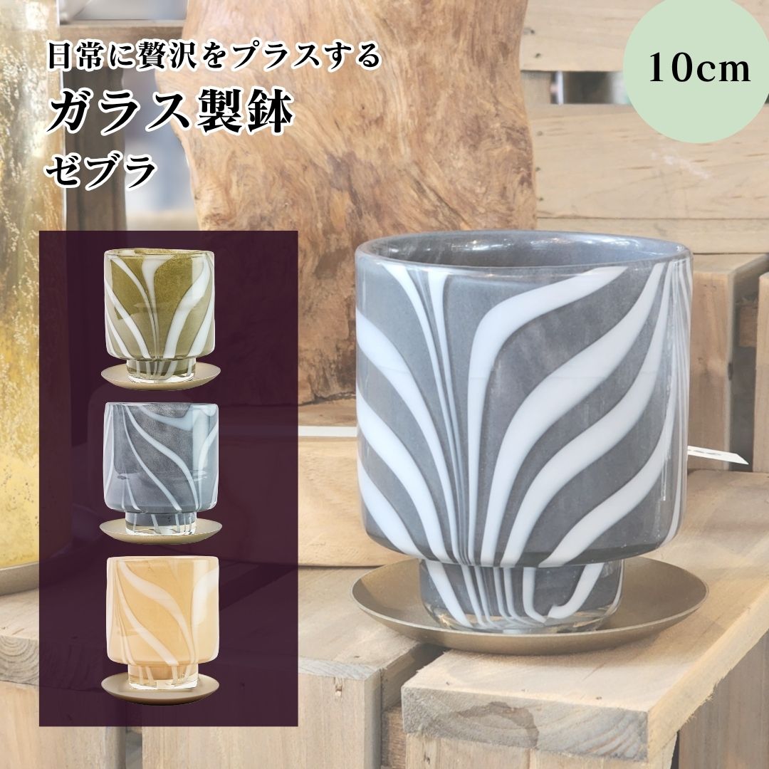 楽天市場】2寸 鉢の通販