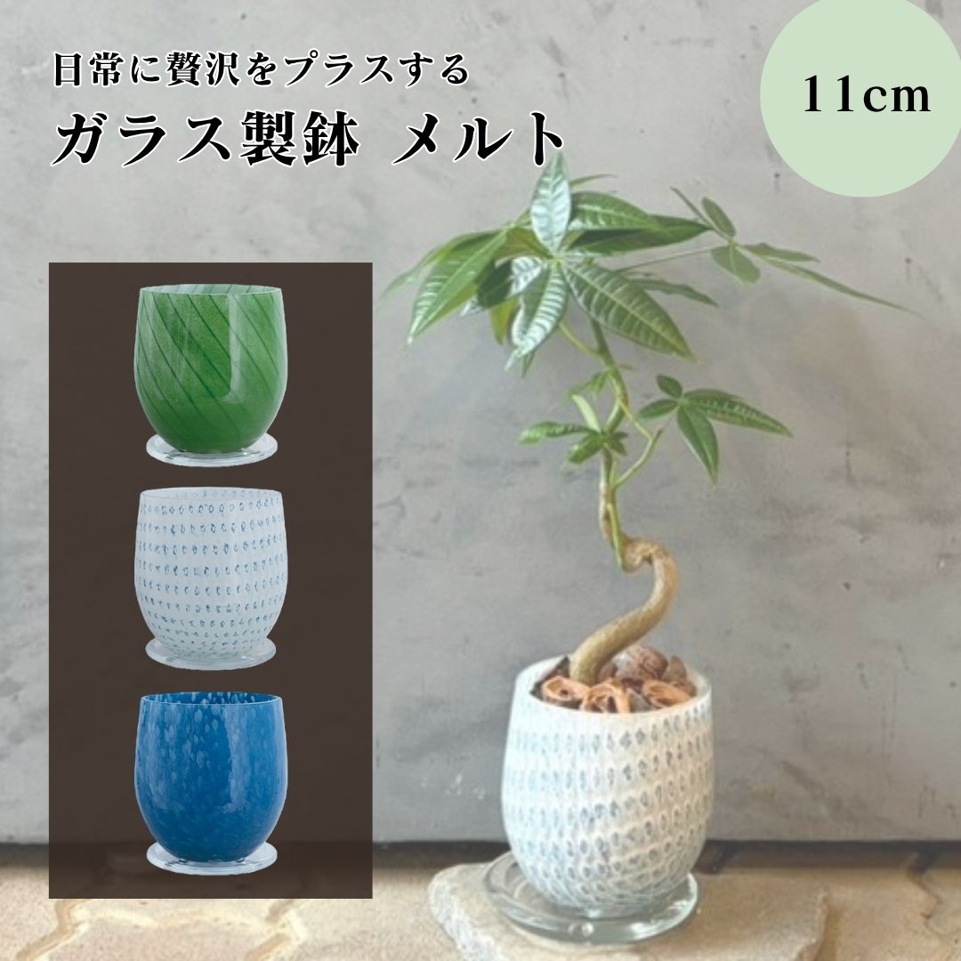 植木鉢 2個セット 陶器鉢 楽天市場】2寸 鉢（植木鉢・プランター｜ガーデニング・農業）：花