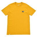 yVANSz @Y W AP CITW SS TEE V[gX[u VN0A7YH4F3X GOLDEN YELLOW