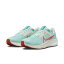 NIKE ʥ W AIR ZOOM PEGASUS 40    ڥ 40 WDV3854 300JDICE/PICRE