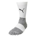 yPUMAz v[} GRIP SOCKS \bNX 658035 04WHT