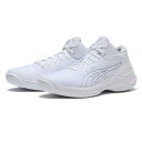 【ASICS】 アシックス GELBURST 28 EW ゲルバースト28 EW 1063A082.100