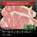 【冷蔵】とちぎ和牛サーロインステーキ用250g 2枚 お試し 卸 問屋 直送 業務用 父の日 母の日 お中元 お歳暮 お祝い 贈答 ギフト お取り寄せグルメ 那須高原からの贈り物