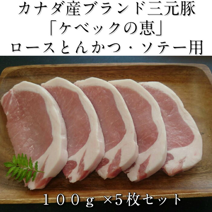 カナダ産三元豚 ケベックの恵　ロース500g（とんかつ・ソテー用）