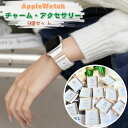 【送料無料】【レビュー特典】【通すだけ!おしゃれ】スポーツバンド専用チャーム 5個セット 【専用箱付き】バンドチャーム アクセサリー レディース かわいい キラキラ 華やか DIY9 8 7 6 5 4 3 SE 38mm 40mm 41mm 42mm 44mm 45mm ハート おしゃれ セット 上品 可愛い