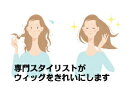 【ウィッグの毛染めリセットサービ...
