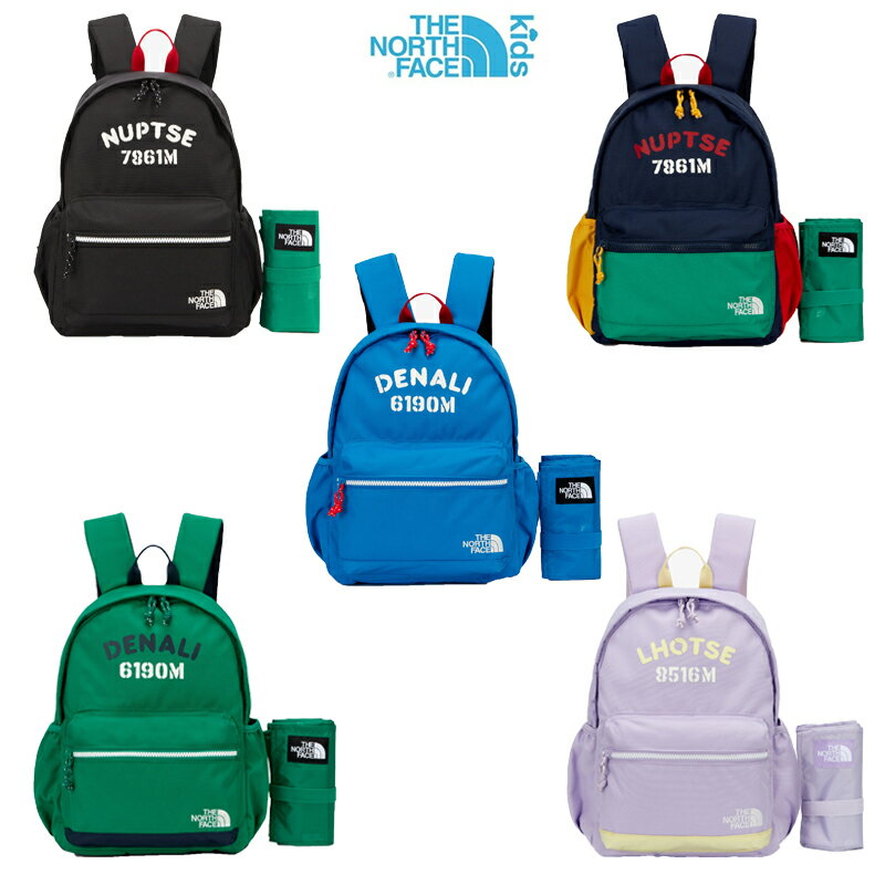 ★送料無料★THE NORTH FACE★KIDS PICN