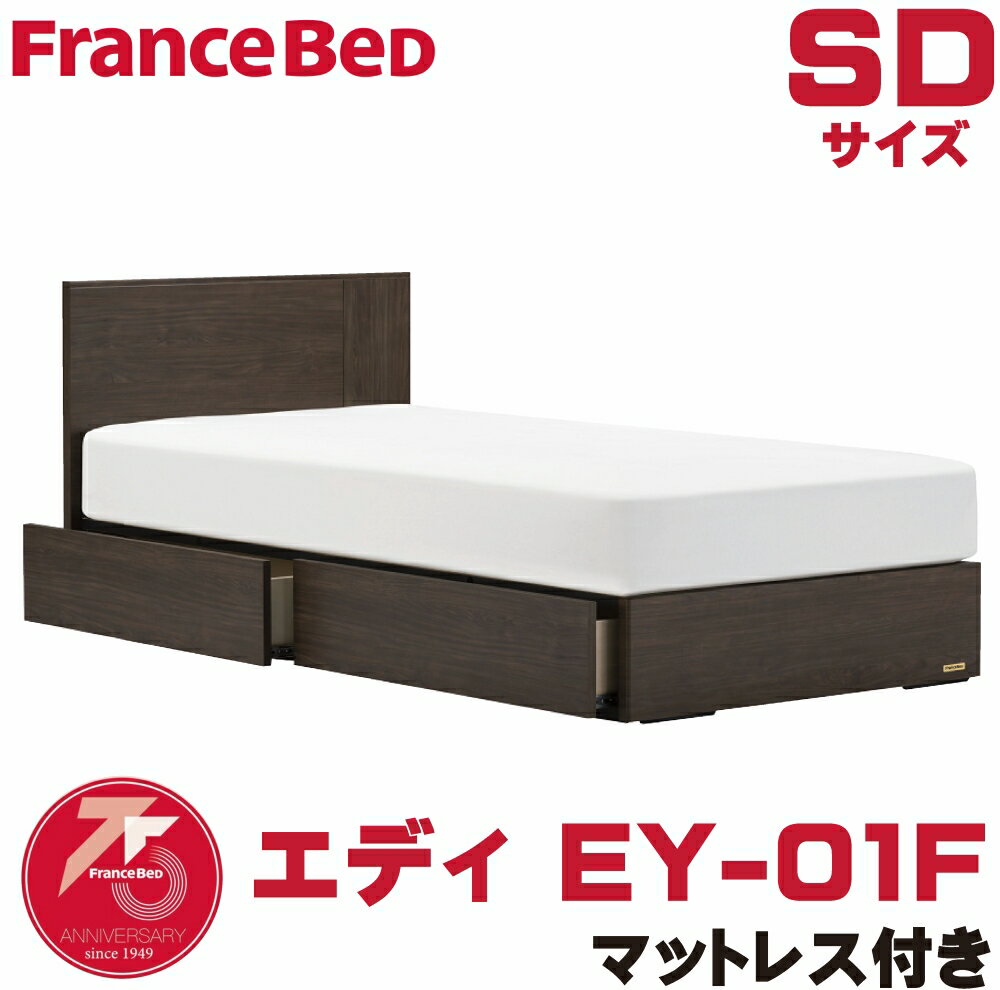 【配送設置無料】正規販売店 フランスベッド フレームマットレスセット セミダブルサイズ DRタイプ エ..