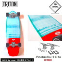 TRITON by CARVER J[o[ TRITON JP 31h The sea Surfskate Complete 31C` CX4 TRUCK@gCg@{胂f T[tXP[g Rv[g 31C` VJ[ {Ki @T[tBItgp@ SI