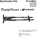 SCOOTER SNOWBOARD BackCountry Pole スクーター　バックカントリー　ポール　DAYLIFE VERNIER xSINANO　日本製