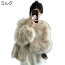冬服 ジャケット レディース ファーコート 秋冬 フェイクファーコート エコファー 長袖 前開き ボアジャケット ファーブルゾン コート ジャケット ふわふわ ...
