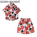 アロハシャツ 上下セット 前開き メンズ ハワイアンシャツ ショートパンツ 半袖 夏服 プリントシャツ 日焼け止め 吸汗速乾 UVカット 快適 軽量 ファッショ...