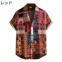 半袖 アロハシャツ ビーチシャツ メンズ 襟付き 夏服 エスニック 日焼け止め ルーズ 総柄シャツ ボタンダウン 快適 軽量 スタンドカラー 通気速乾 uvカット ギフト 彼氏 日常 祭り ストリート クール(4)