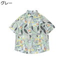 アロハシャツ 開襟 メンズ ビーチシャツ 半袖 ボタニカル柄 夏服 プリントシャツ オーバーサイズ 日焼け止め 汗染み防止 UVカット 柔らかい 耐摩耗 おしゃれ カジュアル ビーチ hiphop 原宿系(4)