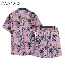 半袖シャツ アロハシャツ メンズ ヤシの木 パイナップル 総柄 上下セット 夏用 薄手 通気 速乾 原宿風 おしゃれ ゆったり カジュアルシャツ 快適 ストリー...