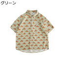 メンズ ビーチシャツ 総柄 夏用 アロハシャツ 半袖 面白い たまご柄 プリント ハワイアン 日焼け止め 薄手 原宿風 カーディガン 通気速乾 トップス ゆったり 海 旅行 アウトドア
