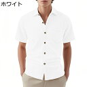 メンズ 半袖シャツ 夏服 カラー ベーシック 折り襟 トップス オフィス 快適 通気速乾 シンプル カーディガン アウトドア ビーチシャツ オカジュアル 通勤 ストリート