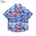 メンズ アロハシャツ トロピカル ヤシの葉柄 tシャツ 半袖 前開き 総柄プリント オールシーズン ボタンアップ ゆったり 薄手 爽やか 南国風 ビンテージ フ...