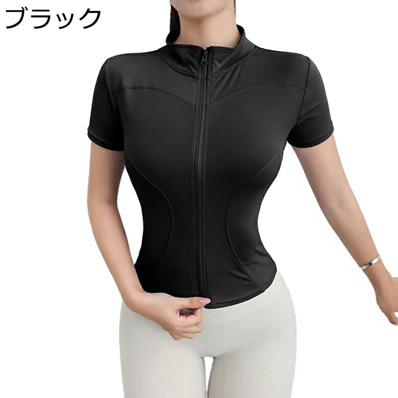 å奬 ǥ Ⱦµ T  ǥ Ω UPF50+ ܿ䴶 ɻ ̵  ơ顼 ȥå ...